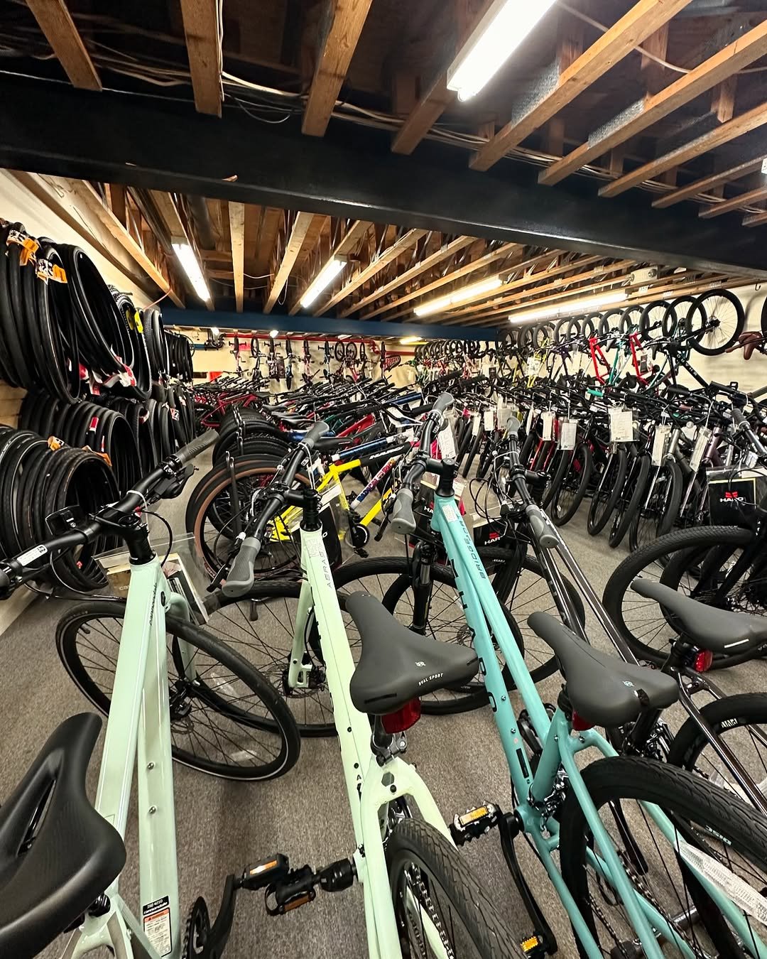 Immersive view of the Bicycles Plus showroom filled with bikes